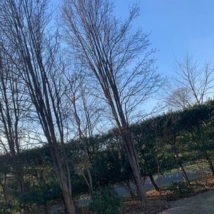 Meet your Posher, Jocelyn